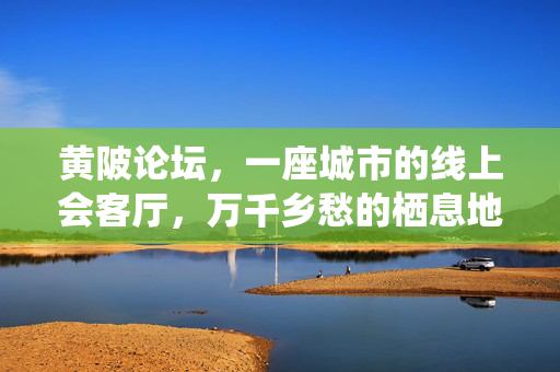 黄陂论坛,一座城市的线上会客厅,万千乡愁的栖息地,黄陂论坛,城市线上会客厅,乡愁栖息地