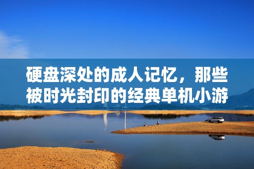 硬盘深处的成人记忆,那些被时光封印的经典单机小游戏,硬盘深处的时光印记,成年人的经典单机记忆