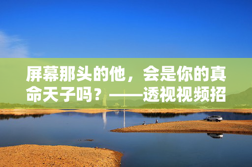 屏幕那头的他,会是你的真命天子吗?——透视视频招男友背后的情感需求与现实迷思,视频招男友,情感需求与真命天子的现实迷思