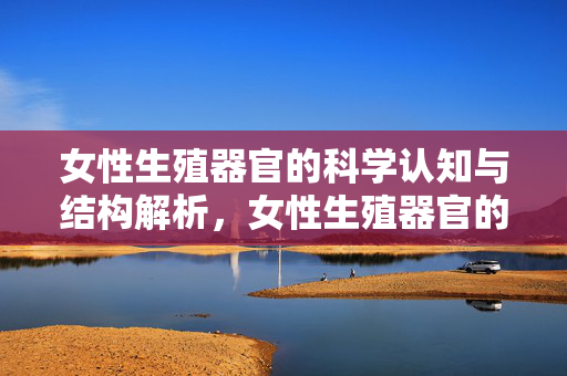 女性生殖器官的科学认知与结构解析,女性生殖器官的科学认知与结构解析