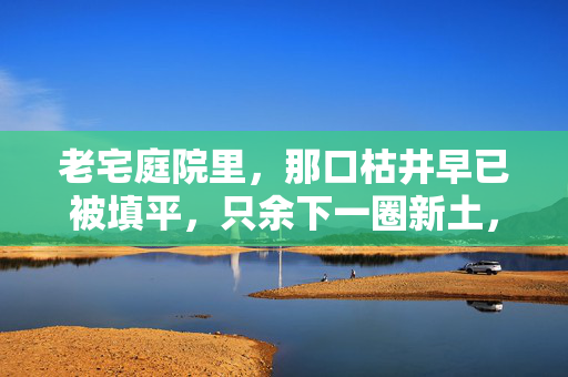 老宅庭院里,那口枯井早已被填平,只余下一圈新土,像一块结了痂的旧伤疤。然而,那深埋的黑暗并未真正消散,它只是沉入地下,在无人察觉的角落里,悄然滋生着一种令人窒息的暗流,枯井暗痂,暗流滋生