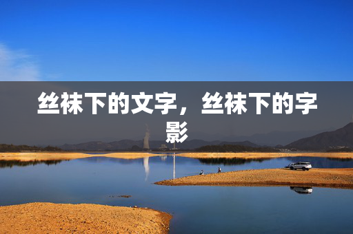 丝袜下的文字,丝袜下的字影