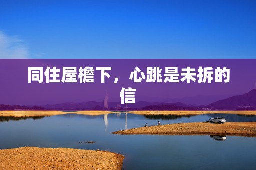 同住屋檐下,心跳是未拆的信