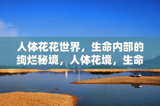 人体花花世界,生命内部的绚烂秘境,人体花境,生命内部的绚烂秘境