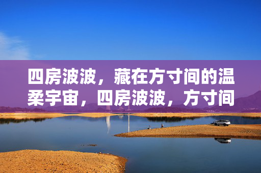 四房波波,藏在方寸间的温柔宇宙,四房波波,方寸间的温柔宇宙