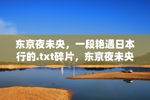 东京夜未央,一段艳遇日本行的.txt碎片,东京夜未央,艳遇碎片