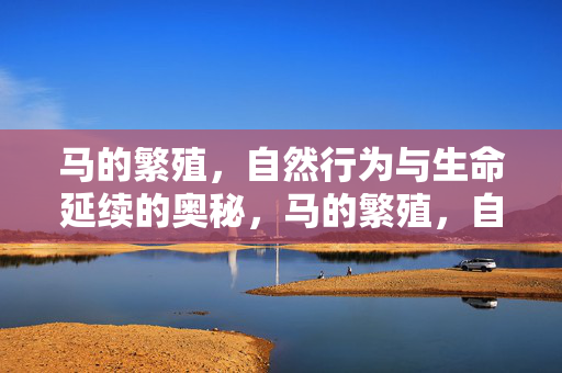马的繁殖,自然行为与生命延续的奥秘,马的繁殖,自然行为与生命延续的奥秘
