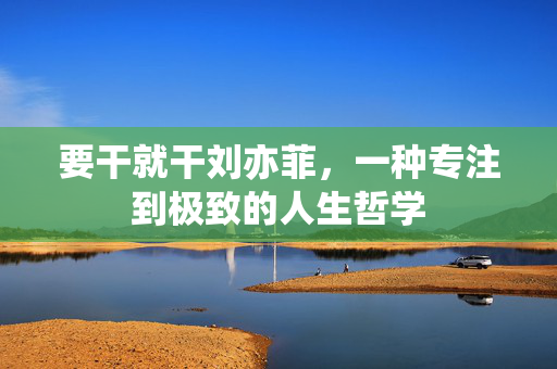 要干就干刘亦菲,一种专注到极致的人生哲学