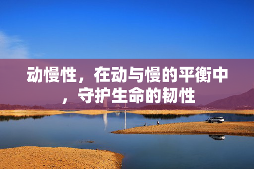动慢性,在动与慢的平衡中,守护生命的韧性
