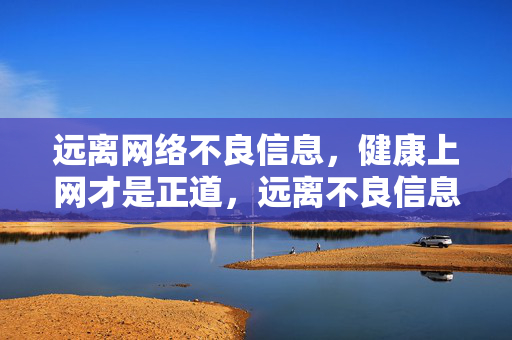 远离网络不良信息,健康上网才是正道,远离不良信息,健康上网正道