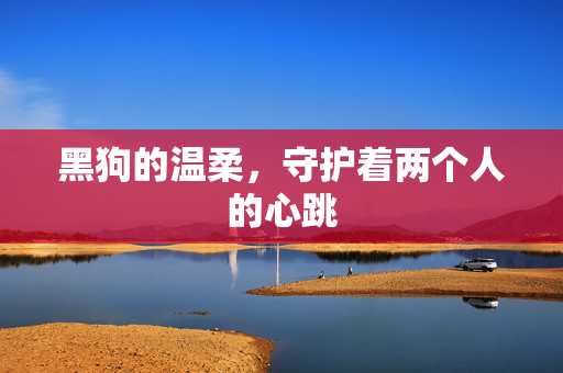 黑狗的温柔,守护着两个人的心跳