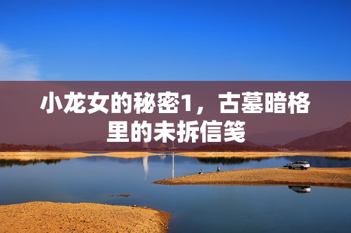 小龙女的秘密1,古墓暗格里的未拆信笺