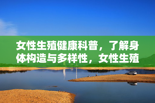 女性生殖健康科普,了解身体构造与多样性,女性生殖健康,身体构造与多样性科普
