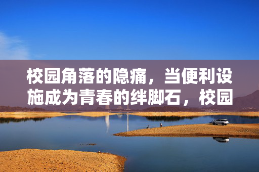 校园角落的隐痛,当便利设施成为青春的绊脚石,校园隐痛,便利设施成青春绊脚石