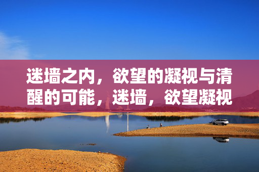 迷墙之内,欲望的凝视与清醒的可能,迷墙,欲望凝视与清醒的可能