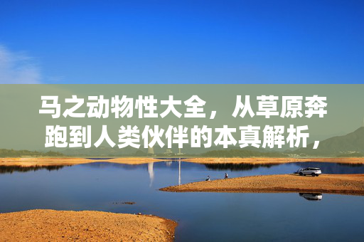 马之动物性大全,从草原奔跑到人类伙伴的本真解析,马之动物性,从草原奔跑到人类伙伴的本真解析