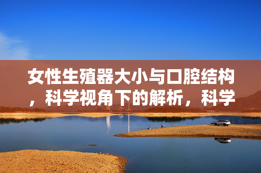 女性生殖器大小与口腔结构,科学视角下的解析,科学视角下女性生殖器大小与口腔结构解析