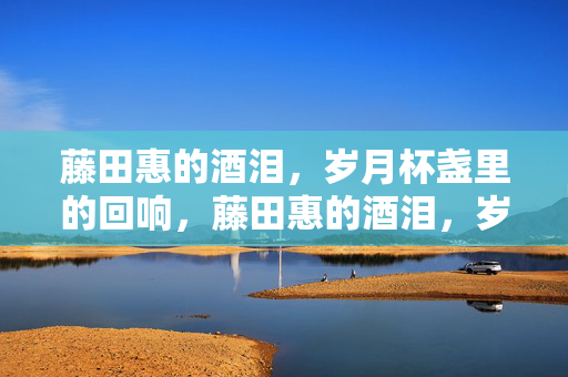 藤田惠的酒泪,岁月杯盏里的回响,藤田惠的酒泪,岁月杯盏回响