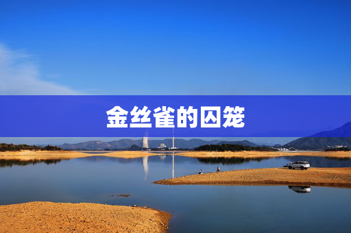 金丝雀的囚笼