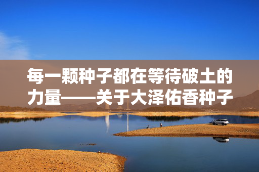 每一颗种子都在等待破土的力量——关于大泽佑香种子的隐喻与启示,种子的等待,破土力量的隐喻与启示