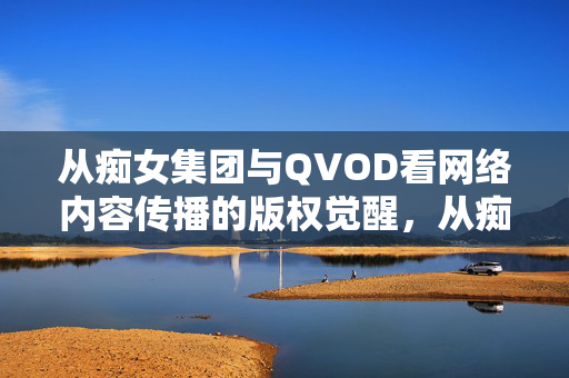 从痴女集团与QVOD看网络内容传播的版权觉醒,从痴女集团与QVOD案看网络内容传播的版权觉醒