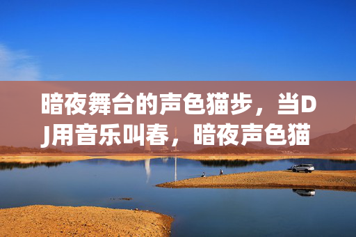 暗夜舞台的声色猫步,当DJ用音乐叫春,暗夜声色猫步,DJ的音乐叫春