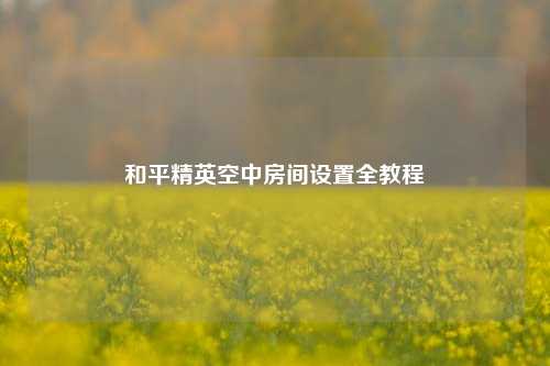和平精英空中房间设置全教程