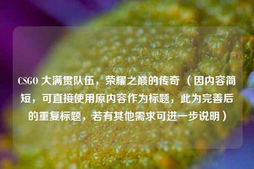 CSGO 大满贯队伍,荣耀之巅的传奇 (因内容简短,可直接使用原内容作为标题,此为完善后的重复标题,若有其他需求可进一步说明)