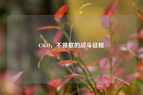 CSGO,不停歇的战斗征程
