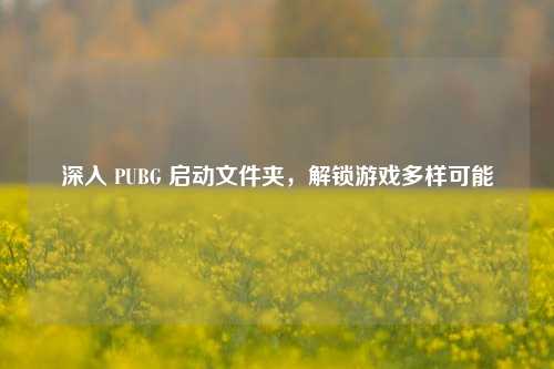 深入 PUBG 启动文件夹，解锁游戏多样可能