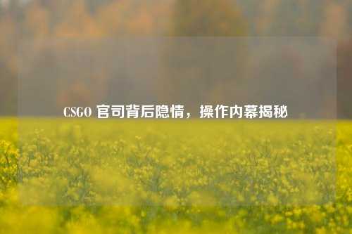 CSGO 官司背后隐情,操作内幕揭秘