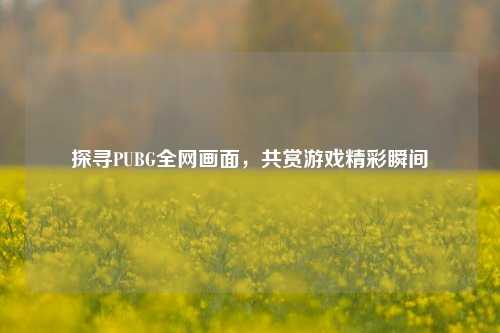 探寻PUBG全网画面,共赏游戏精彩瞬间