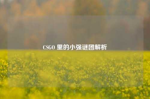 CSGO 里的小强谜团解析