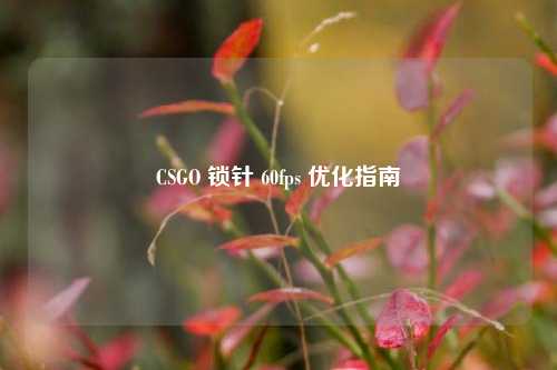 CSGO 锁针 60fps 优化指南