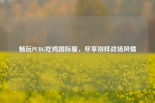畅玩PUBG吃鸡国际服,尽享别样战场风情