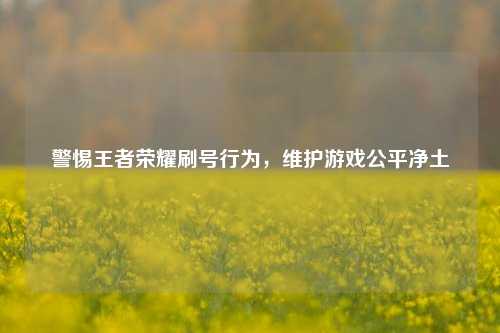 警惕王者荣耀刷号行为,维护游戏公平净土