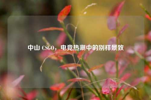 中山 CSGO,电竞热潮中的别样景致