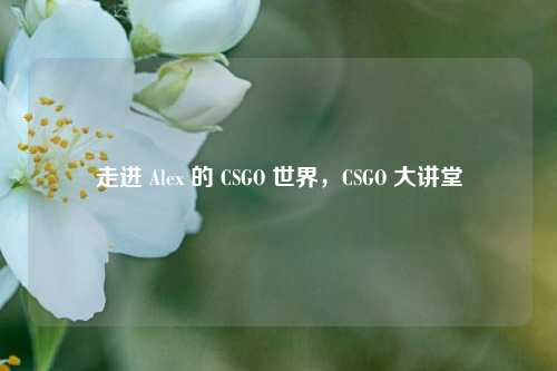 走进 Alex 的 CSGO 世界,CSGO 大讲堂