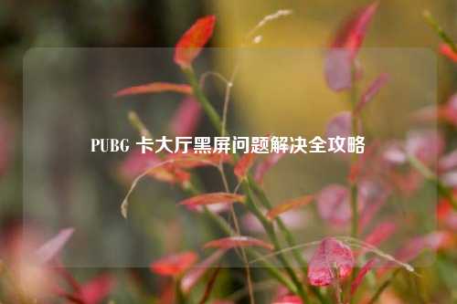 PUBG 卡大厅黑屏问题解决全攻略