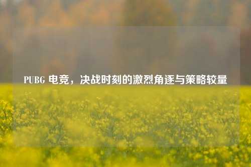 PUBG 电竞,决战时刻的激烈角逐与策略较量