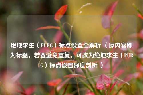 绝地求生(PUBG)标点设置全解析 (原内容即为标题,若要避免重复,可改为绝地求生(PUBG)标点设置深度剖析 )