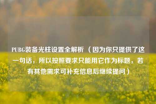 PUBG装备光柱设置全解析 (因为你只提供了这一句话,所以按照要求只能用它作为标题,若有其他需求可补充信息后继续提问)