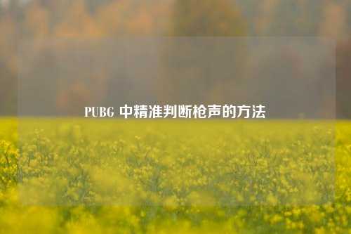 PUBG 中精准判断枪声的方法