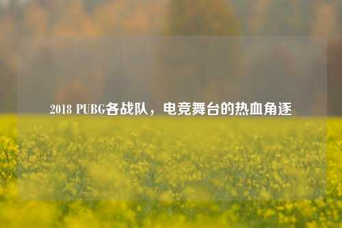 2018 PUBG各战队,电竞舞台的热血角逐