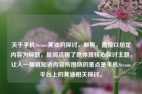 关于手机Steam黄油的探讨，解析，直接以给定内容为标题，能简洁明了地体现核心探讨主题，让人一眼就知道内容所围绕的重点是手机Steam平台上的黄油相关探讨。