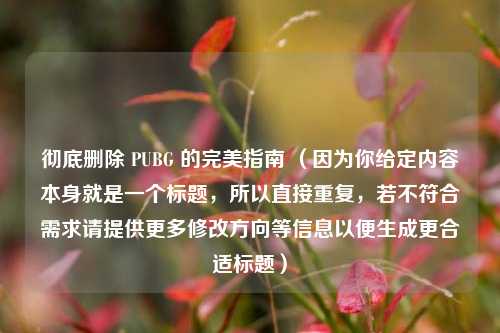 彻底删除 PUBG 的完美指南 (因为你给定内容本身就是一个标题,所以直接重复,若不符合需求请提供更多修改方向等信息以便生成更合适标题)
