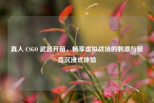 真人 CSGO 武器开箱,畅享虚拟战场的刺激与惊喜沉浸式体验