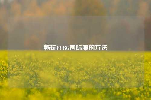 畅玩PUBG国际服的方法