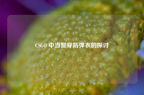CSGO 中当警穿防弹衣的探讨
