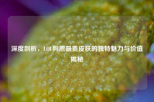 深度剖析,LOL狗熊最贵皮肤的独特魅力与价值揭秘